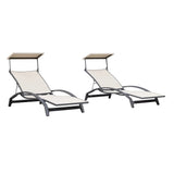 PURPLE LEAF Patio Lounge Chair with Canopy Shade Outdoor Chaise Lounge Chair Set of 2 for Lawn Poolside Backyard Sunbathing Tanning Chairs with Arm
