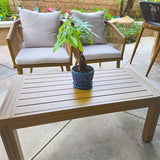 PURPLE LEAF Liviah 4-Piece Patio Conversation Set with Wicker Chairs and Cushions Sofa for Garden