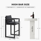 PURPLE LEAF Caesar Bar Stools Modern Aluminum Barstools with Stainless Removable Cushion for Kitchen Outside Island Backyard