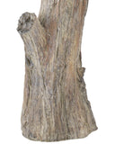 Rafaela Large Flameless/LED Candelabra
