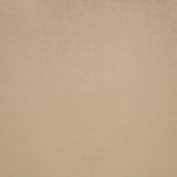Jaelynn Upholstered Parsons Dining Side Chair - Tan (Set of 2)