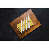 EcoCut 4 Piece Steak Knife Set, Grey