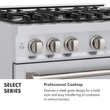ZLINE 30" Select Dual Fuel Range Gas Cooktop Electric Convection Oven Stainless Steel HDR30