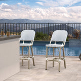 PURPLE LEAF Outdoor Bar Height Stools Set of 2 French Country Patio Rattan Bar Stool Chairs Outdoor Armless Barstools for Porch Garden Indoor Kitchen