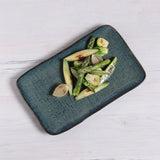 RECTANGULAR PLATTER MEDIUM JUTA Ø 10.63x6.3" OCEANO
