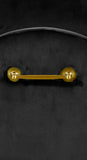 Owen Elegant Velvet Bench with Polished Gold Legs, Chic Design for Bedroom or Entryway Seating