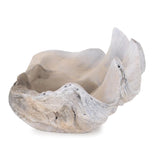 Large Vongole