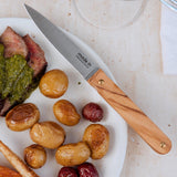 MADE IN Steak Knives