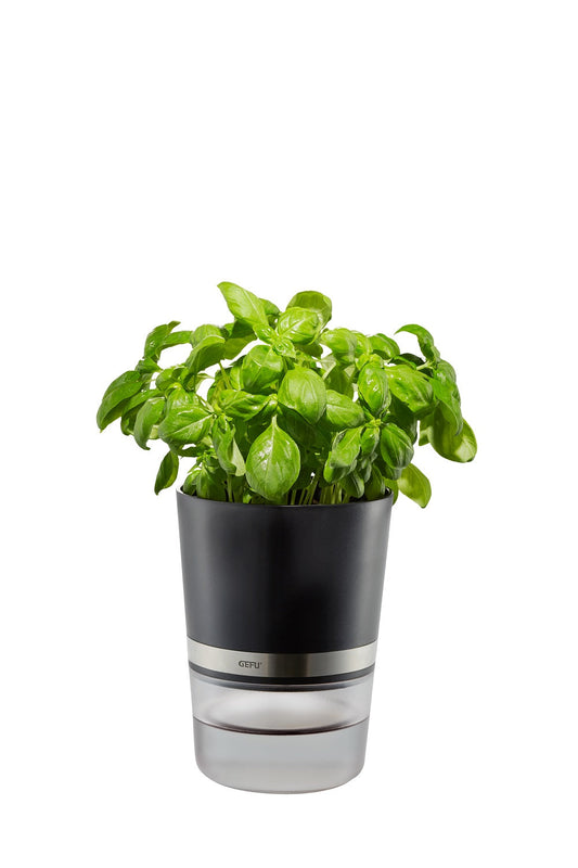 Herb Pot - BOTANICO 18920