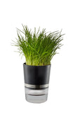 Herb Pot - BOTANICO 18920