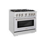 ZLINE 36" Select Dual Fuel Range Gas Cooktop Electric Convection Oven DuraSnow® Stainless Steel Brass Burners HDRS-BR-36