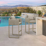 PURPLE LEAF Sanori Outdoor Bar Stools Set of 2 Modern Olefin Weaving Bar Chairs with Backrest Pillow for Patio, Poolside or Indoor