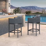 PURPLE LEAF Sanori Outdoor Bar Stools Set of 2 Modern Olefin Weaving Bar Chairs with Backrest Pillow for Patio, Poolside or Indoor