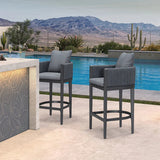 PURPLE LEAF Sanori Outdoor Bar Stools Set of 2 Modern Olefin Weaving Bar Chairs with Backrest Pillow for Patio, Poolside or Indoor