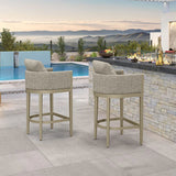 PURPLE LEAF Sanori Outdoor Bar Stools Set of 2 Modern Olefin Weaving Bar Chairs with Backrest Pillow for Patio, Poolside or Indoor