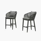 PURPLE LEAF Outdoor Bar Stools Patio Modern Aluminum Rattan High Back & Arms Bar Chairs with Removable Cushions and Pillows for Outdoor or Indoor