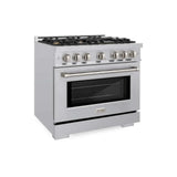 ZLINE 36" Select Dual Fuel Range Gas Cooktop Electric Convection Oven Stainless Steel Brass Burners HDR-BR-36