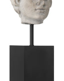 Venus Head on Stand Set of 2