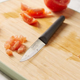 BergHOFF Geminis Stainless Steel Paring Knife, Set of 4, 4"