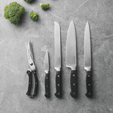 BergHOFF Essentials Stainless Steel 5Pc Cutlery Set