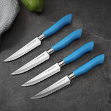 EcoCut 4 Piece Steak Knife Set, Blue