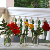 3 oz. Mini Mason Jar - Diy (Set of 12)