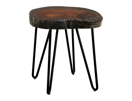 Live Edge End Table | Parota Wood Epoxy Collection
