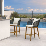 PURPLE LEAF Outdoor Bar Stools Patio Modern Aluminum Rattan High Back & Arms Bar Chairs with Removable Cushions and Pillows for Outdoor or Indoor
