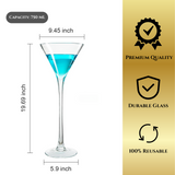 Worlds Largest Giant Martini Glass - Huge 20 Inches, 54 OZ