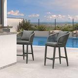 PURPLE LEAF Outdoor Bar Stools Patio Modern Aluminum Rattan High Back & Arms Bar Chairs with Removable Cushions and Pillows for Outdoor or Indoor