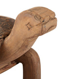 Turtle Set of 3
