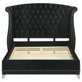 Barzini Upholstered Eastern King Wingback Bed Black