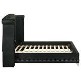 Barzini Upholstered Eastern King Wingback Bed Black