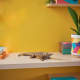 Antiqued Gold Crocodile Sculpture