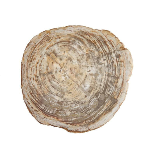 Petrified Wood 16" Cheese Board