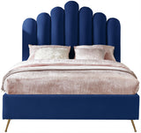 Lily - Bed