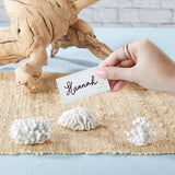 Seven Seas Coral Place Card Holders Set of 6