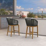 PURPLE LEAF Outdoor Bar Stools Patio Modern Aluminum Rattan High Back & Arms Bar Chairs with Removable Cushions and Pillows for Outdoor or Indoor