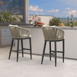 PURPLE LEAF Outdoor Bar Stools Patio Modern Aluminum Rattan High Back & Arms Bar Chairs with Removable Cushions and Pillows for Outdoor or Indoor