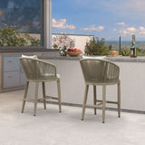 PURPLE LEAF Outdoor Bar Stools Patio Modern Aluminum Rattan High Back & Arms Bar Chairs with Removable Cushions and Pillows for Outdoor or Indoor