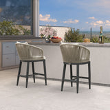 PURPLE LEAF Outdoor Bar Stools Patio Modern Aluminum Rattan High Back & Arms Bar Chairs with Removable Cushions and Pillows for Outdoor or Indoor