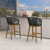 PURPLE LEAF Outdoor Bar Stools Patio Modern Aluminum Rattan High Back & Arms Bar Chairs with Removable Cushions and Pillows for Outdoor or Indoor