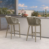PURPLE LEAF Outdoor Bar Stools Patio Modern Aluminum Rattan High Back & Arms Bar Chairs with Removable Cushions and Pillows for Outdoor or Indoor