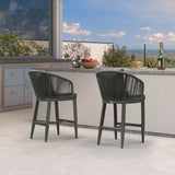 PURPLE LEAF Outdoor Bar Stools Patio Modern Aluminum Rattan High Back & Arms Bar Chairs with Removable Cushions and Pillows for Outdoor or Indoor