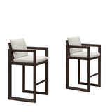 PURPLE LEAF Caesar Bar Stools Modern Aluminum Barstools with Stainless Removable Cushion for Kitchen Outside Island Backyard