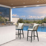 PURPLE LEAF Outdoor Bar Stools Patio Modern Aluminum Rattan High Back & Arms Bar Chairs with Removable Cushions and Pillows for Outdoor or Indoor