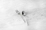 Arezzo Brushed 2pc Serving Set