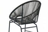 LARIN Outdoor Wicker Chair Set Of 2