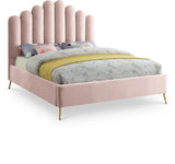 Lily - Bed
