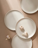 Stoneware Flat Dinner Plate | Edan 11.2"
